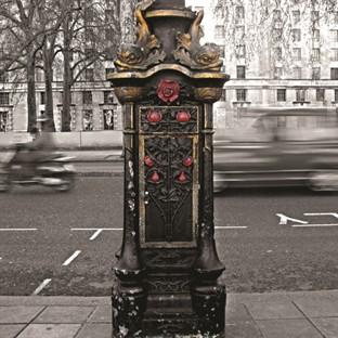 Album cover art for The World I Want To Leave Behind