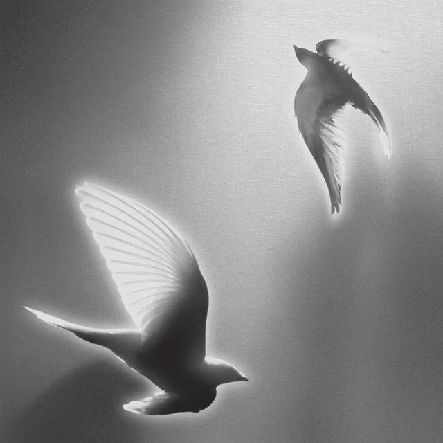 Album cover art for Doves, '25 on Blank Canvas