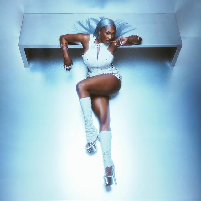 Album cover art for Destinée